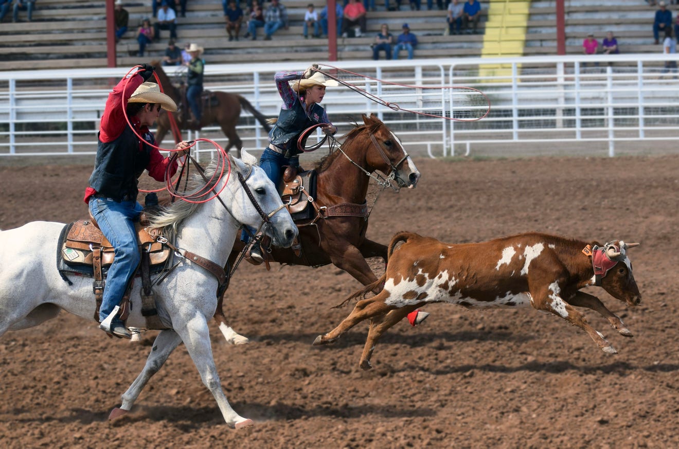 NMSU rodeo teams wrap up fall season, prepare for spring