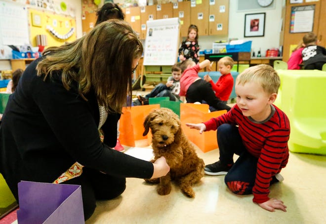 Kindergarten teacher Carrie Naparalla and student Colter Reinsch interact with Shelby, a therapy dog in training Thursday, Nov. 21, 2019, at Journey Charter School in Ripon Wis.