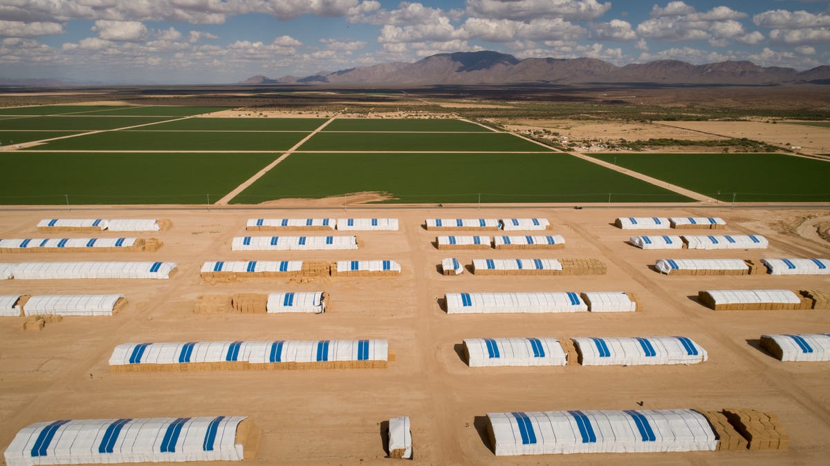 Megafarms and deeper wells are draining the water beneath rural Arizona – quietly, irreversibly - AZCentral