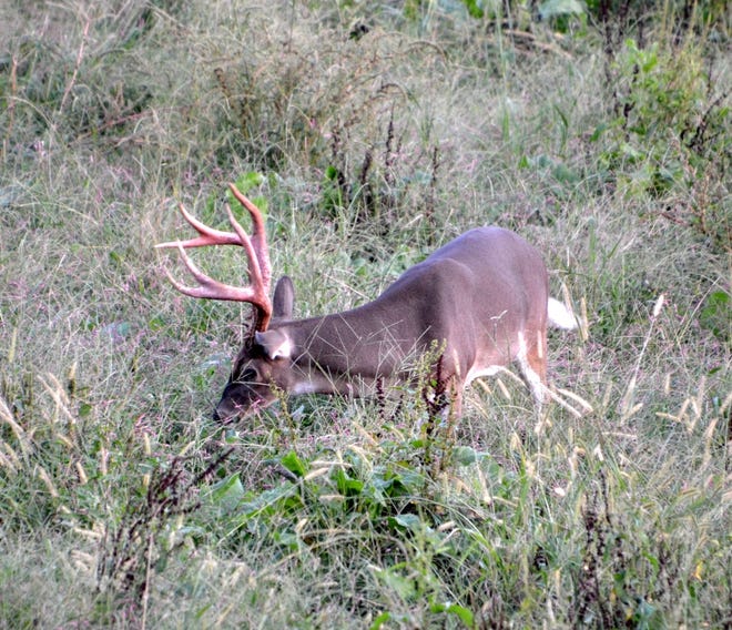Pa. Game Commission is selling the thrill of the kill