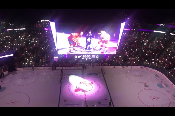 red wings hockey fights cancer 2019