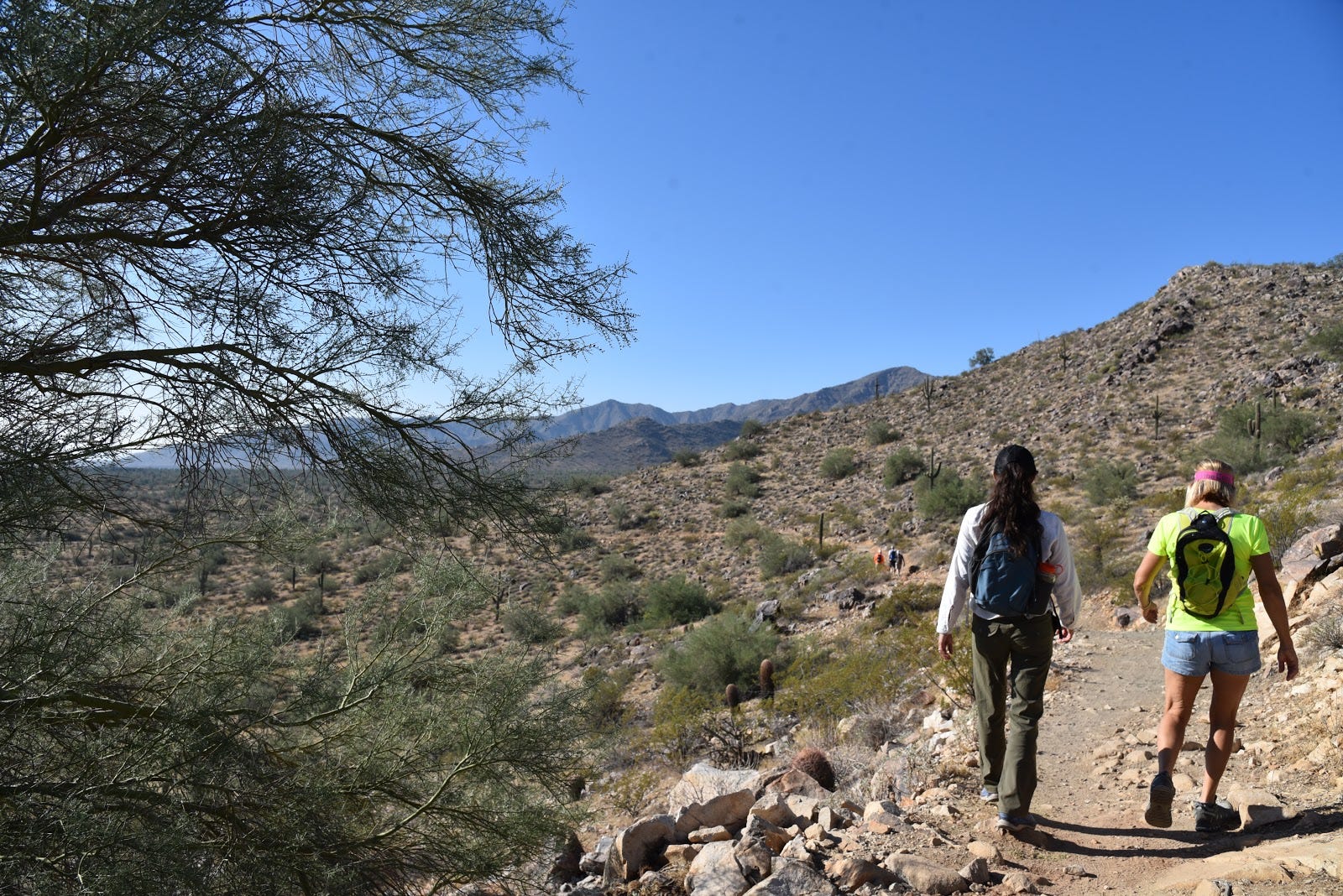 Hiking the Maricopa Trail Try this White Tank Mountains trailhead