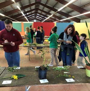 Leon County 4-H members competing in the Horticulture ID Contest at the North Florida Fair.