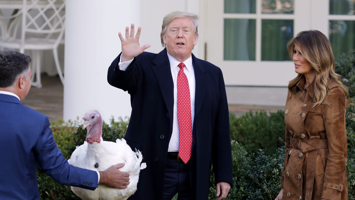 President Donald Trump gives a presidential pardon to the National Thanksgiving Turkey "Butter" during the traditional event with first lady Melania Trump at the White House.