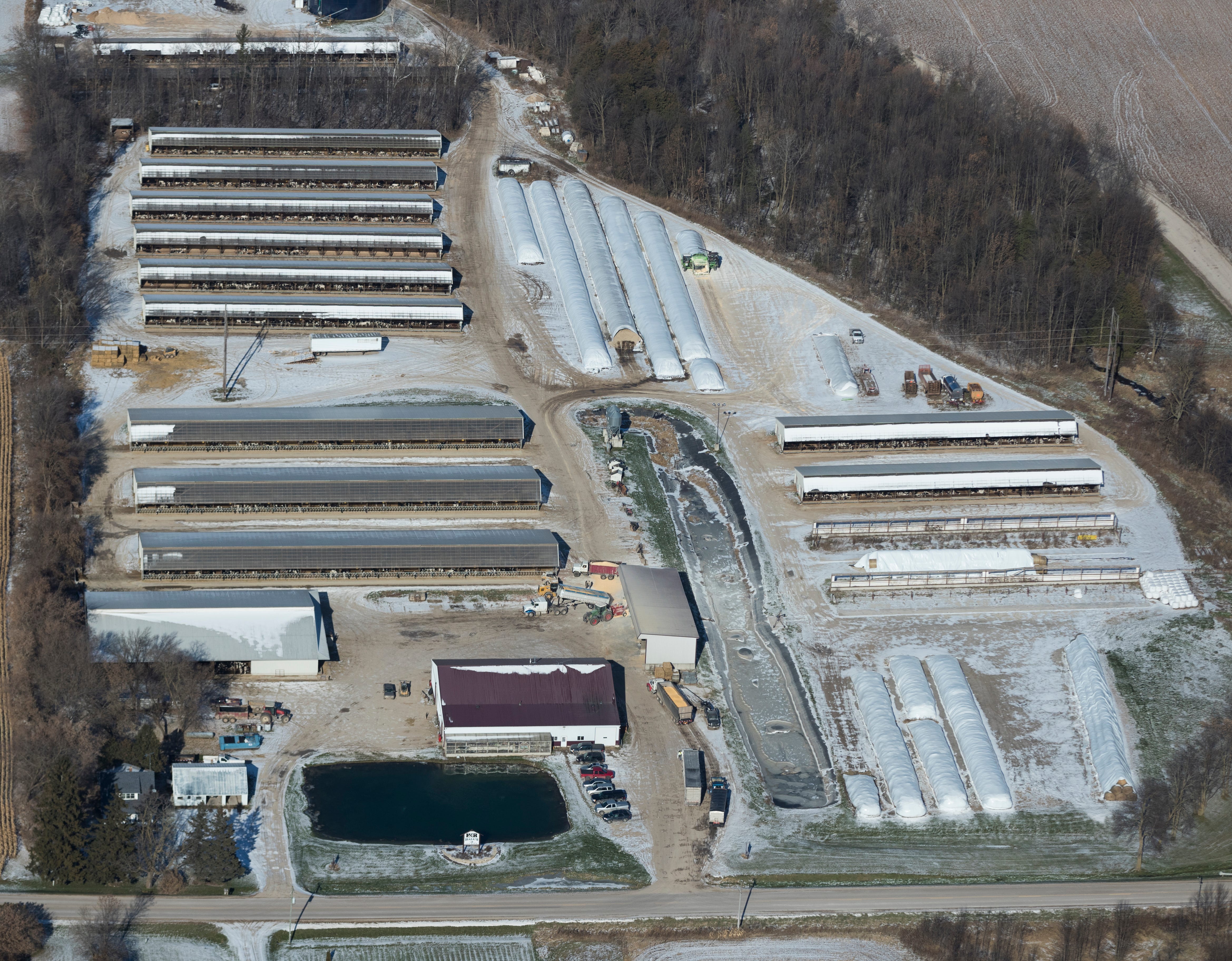 Hall's Calf Ranch on County Road F in Luxemburg typically has about 8,000 calves on its 55 acres.