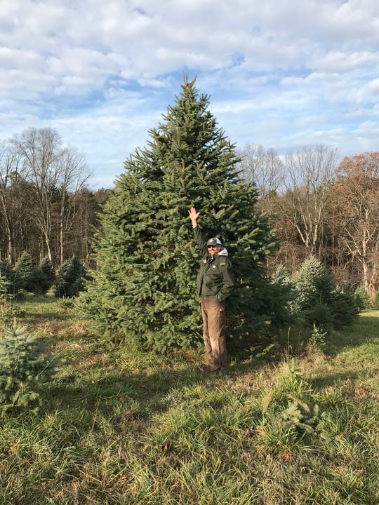 Franklin County Christmas Tree Farmers Gear Up For Another Busy Season