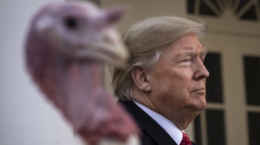 President Donald Trump stands next to Butter, the National Thanksgiving Turkey, after giving him a presidential pardon during the traditional event in the Rose Garden of the White House Nov, 26, 2019, in Washington.