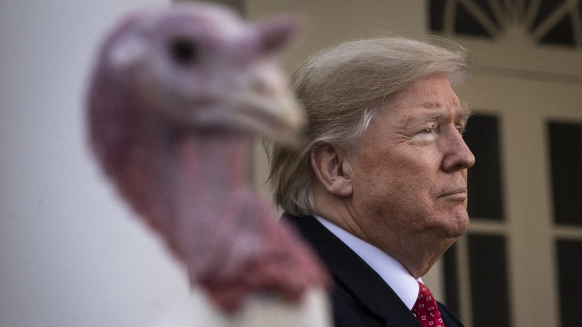 President Donald Trump stands next to Butter, the National Thanksgiving Turkey, after giving him a presidential pardon during the traditional event in the Rose Garden of the White House Nov, 26, 2019, in Washington.