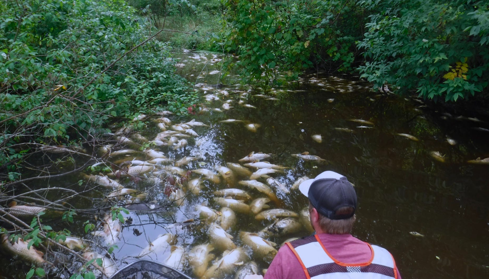 In August 2018, a combination of manure spreading and heavy rains damaged miles of the Sheboygan River, killing fish.