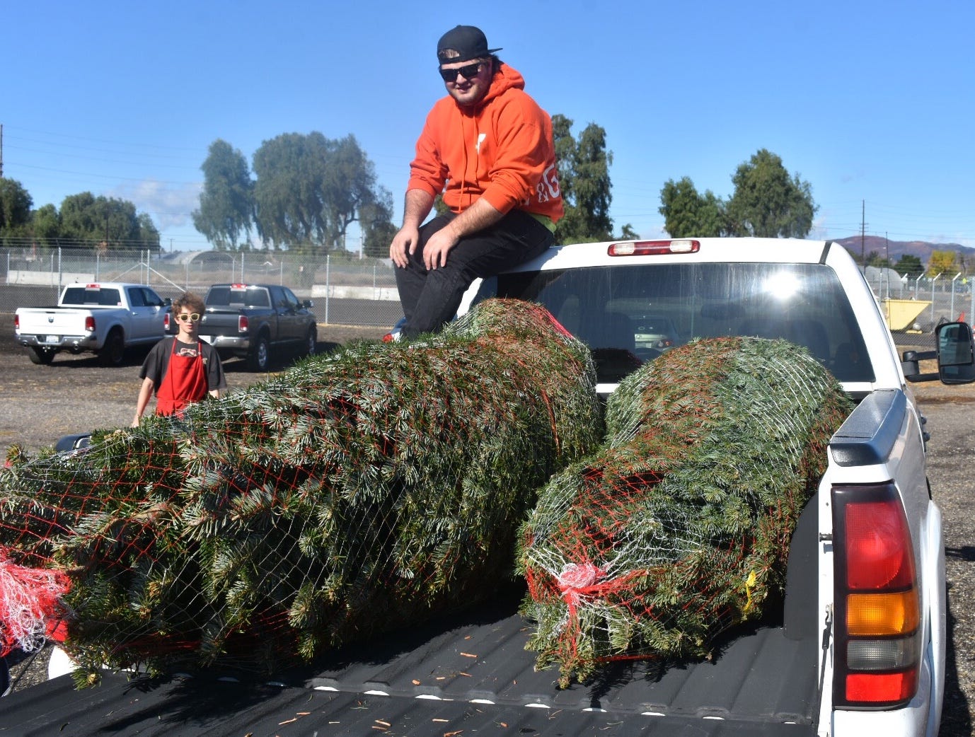 Christmas tree farms in Rochester NY: Hours, directions, more