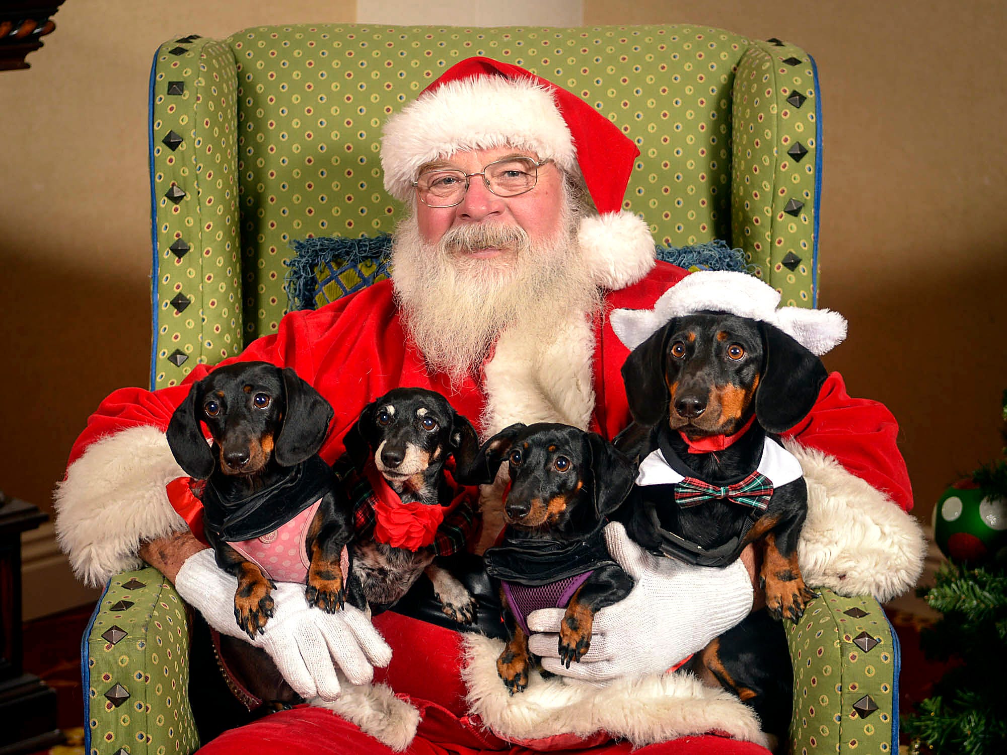 Ventura County Christmas Events 2022 Plan Your Holidays With This Ventura County Event Guide