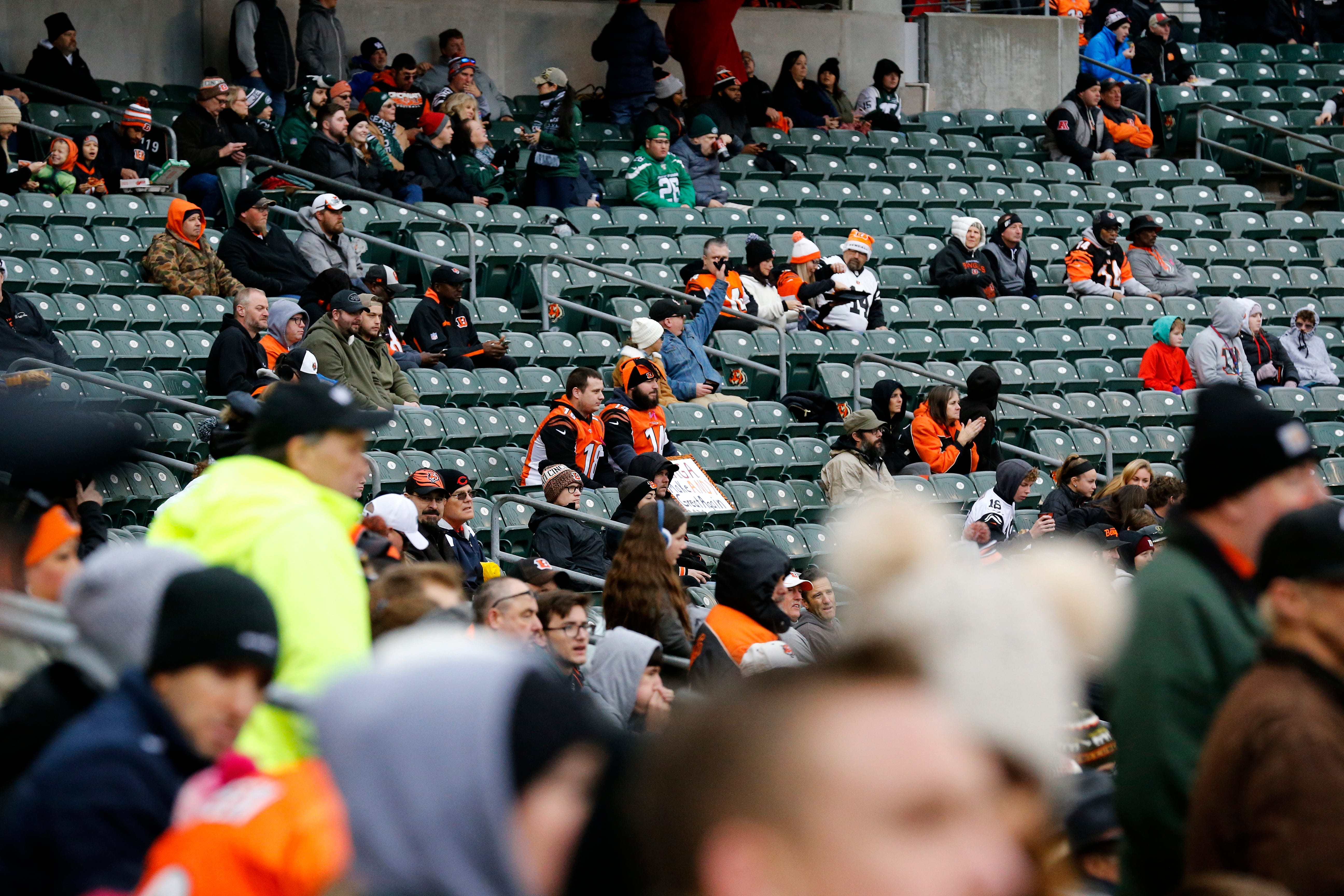 Cincinnati Bengals Seating Chart View