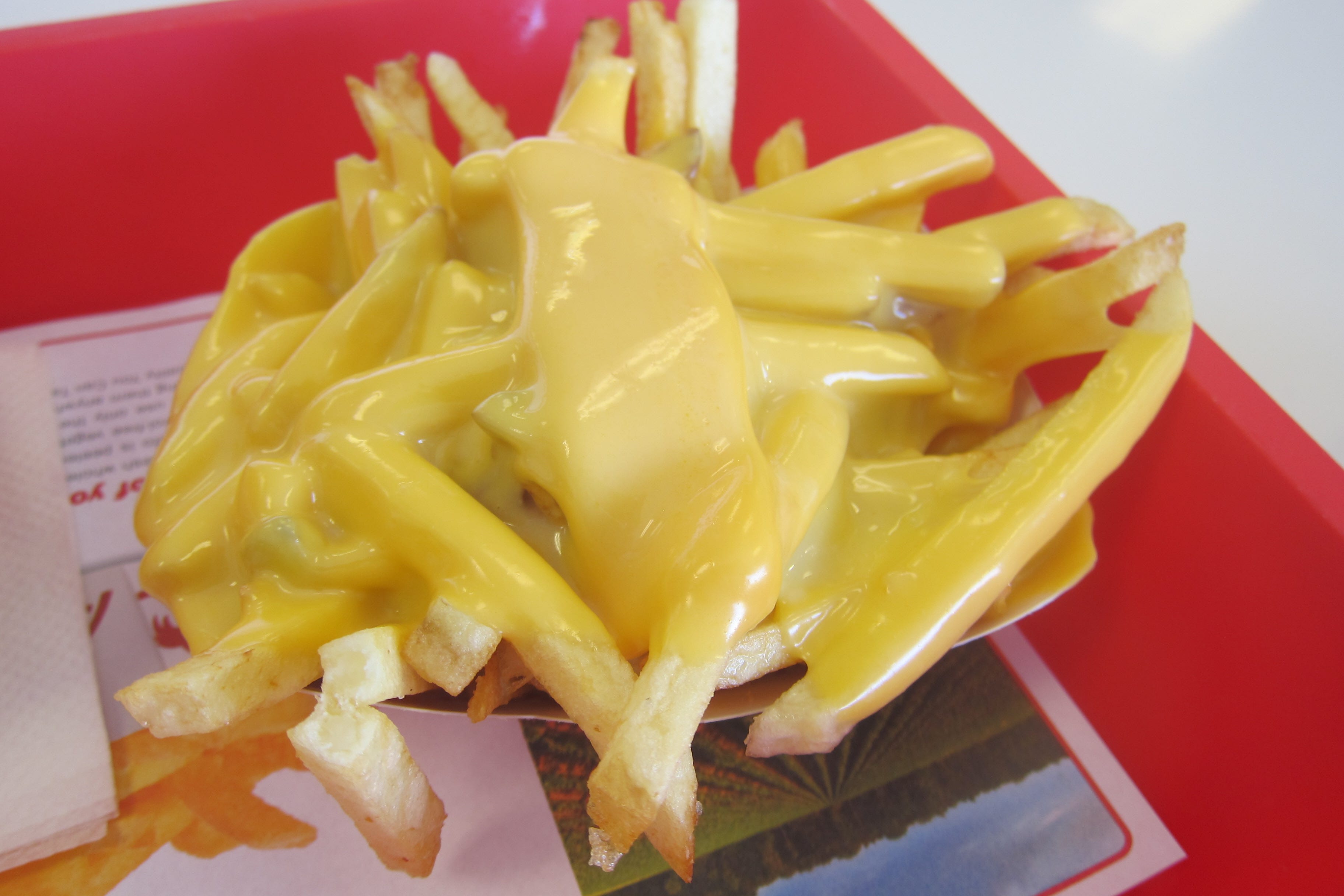 75+ Animal Fries In N Out Murnautalk