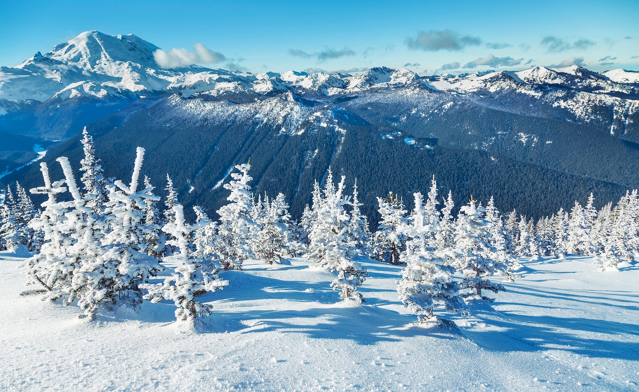 Crystal Mountain Ski Resort Avalanche Kills 1 Traps 5