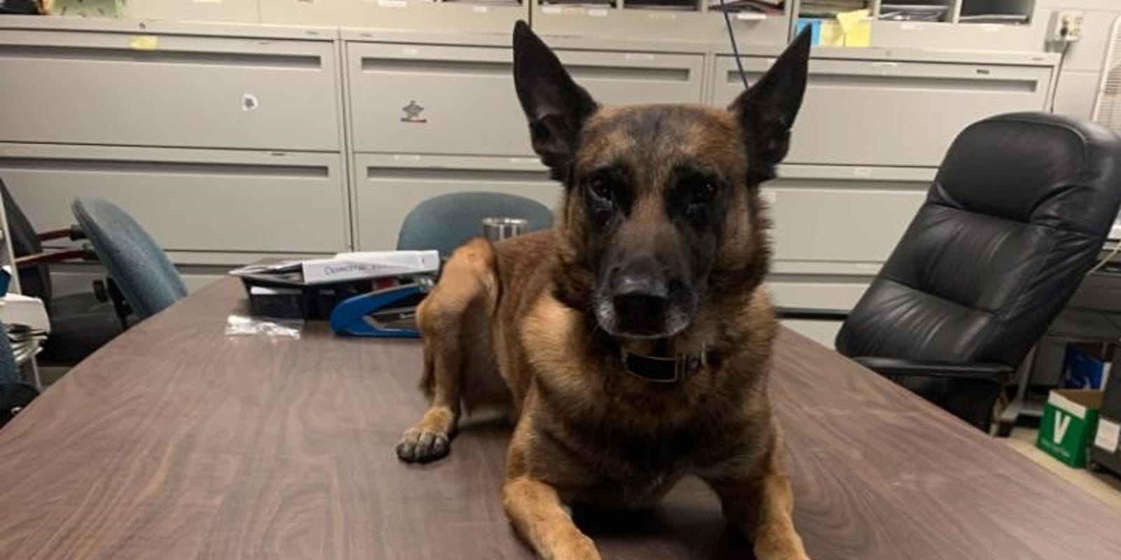 Coshocton sheriff's office sees decline in drugrelated crime