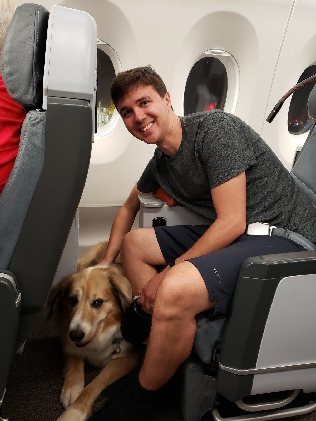 buy seat for dog on plane