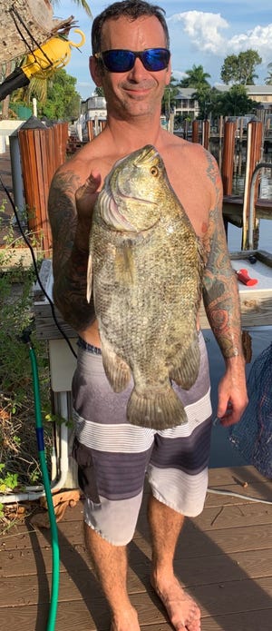John McGovern with a nice tripletail he caught in front of Naples using Gulp for bait.
