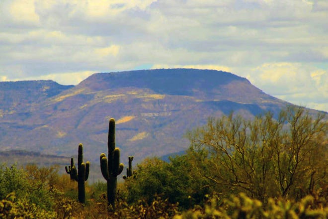 A classic Arizona desert scene is seen in north Phoenix in a photo submitted by reader Sandra Bratset.