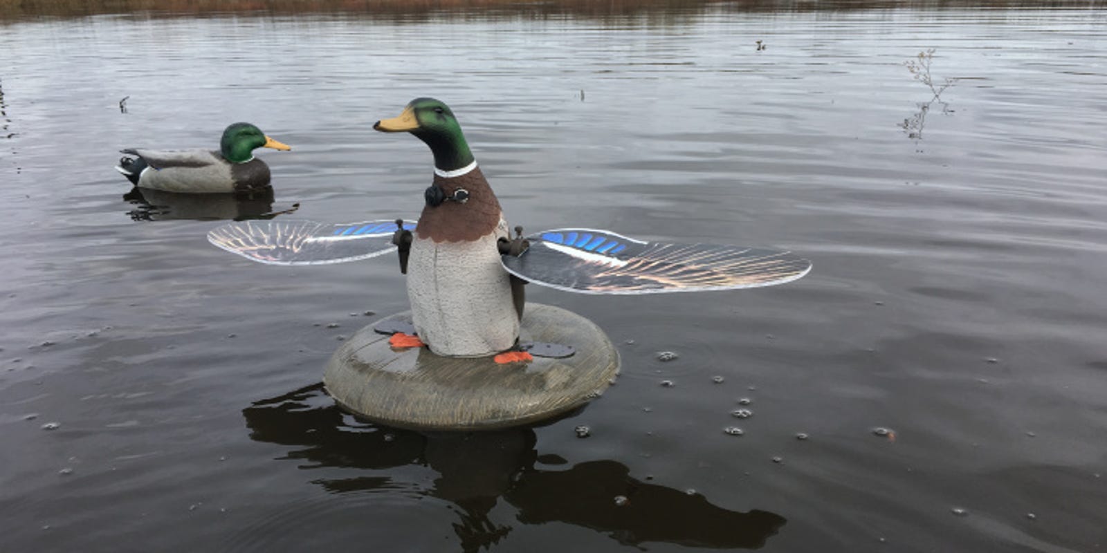 CDFW Here's when it's legal to use moving duck decoys