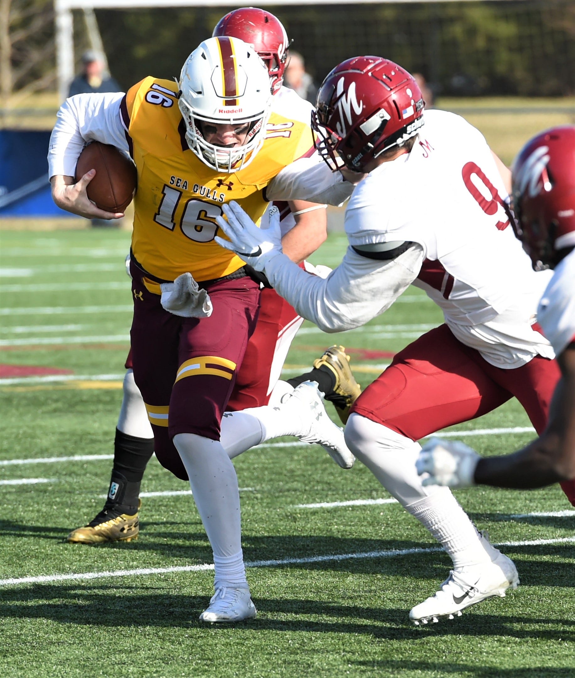 Salisbury football ends season in NCAA quarterfinal round