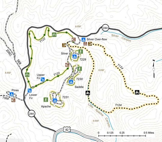 Of trees and trails: winter on the Lincoln National Forest