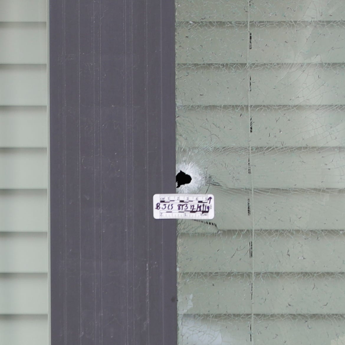 Tallahassee Police Investigate Overnight Near Fsu