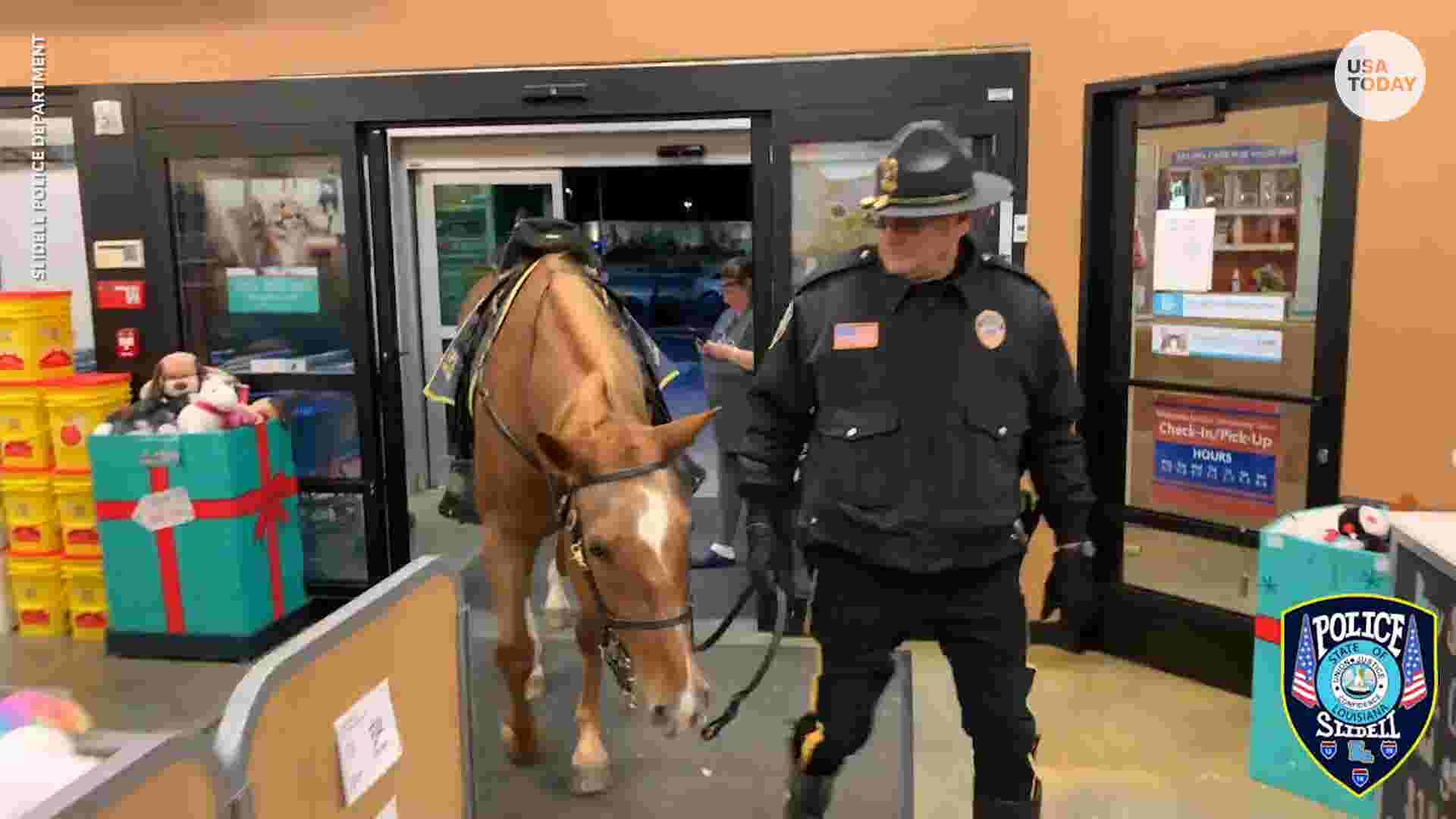 Police horse walks through PetSmart