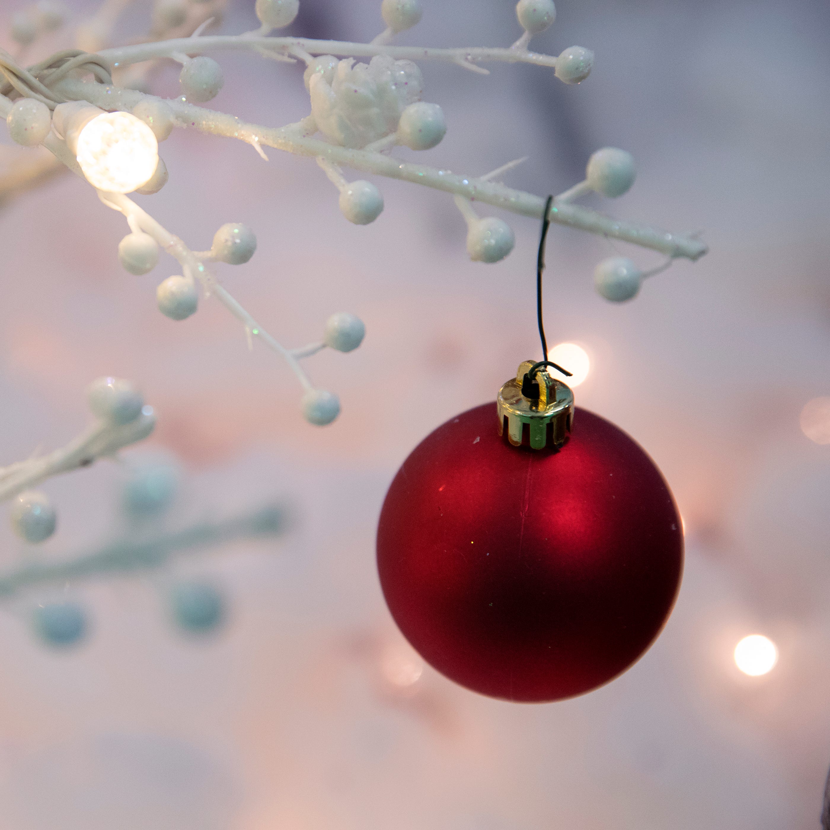 Children S Christmas Appeal Boy Helps Mom Move On From Abuser