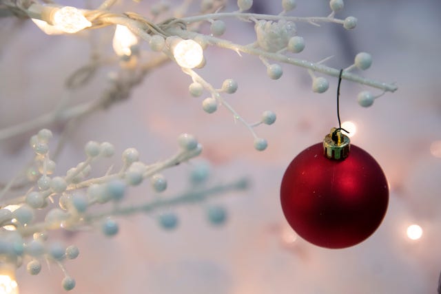 Children S Christmas Appeal Boy Helps Mom Move On From Abuser