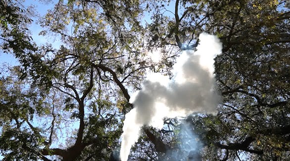 A cloud of vaping smoke rises on the LSU campus.