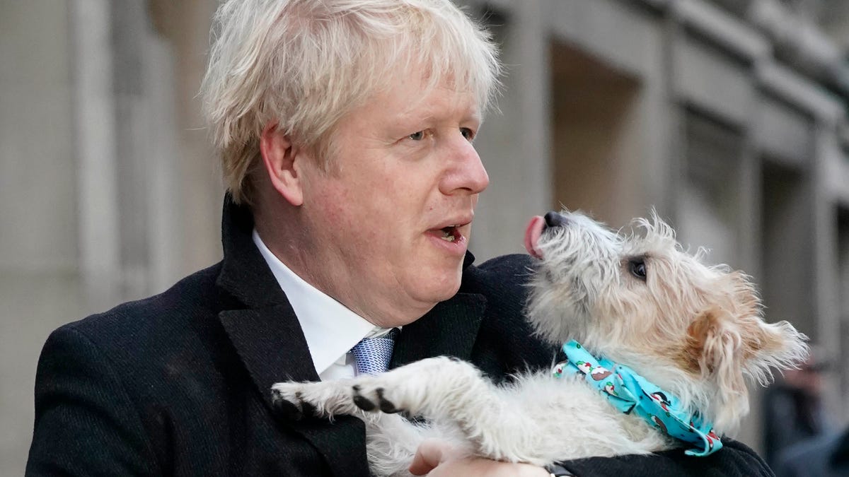 British Prime Minister Boris Johnson poses as he cast his vote with dog Dilyn, on December 12, 2019 in London, England. The current Conservative Prime Minister Boris Johnson called the first UK winter election for nearly a century in an attempt to gain a working majority to break the parliamentary deadlock over Brexit. The election results from across the country are being counted overnight and an overall result is expected in the early hours of Friday morning.