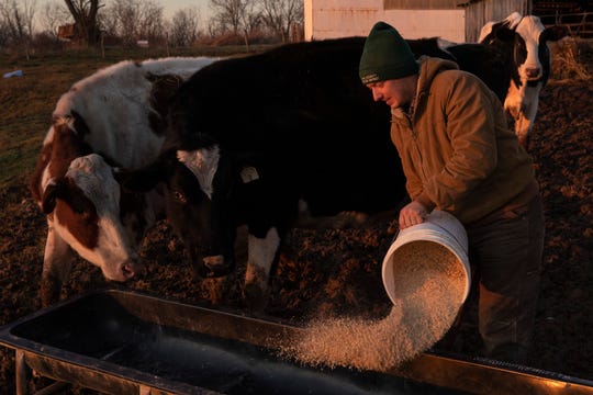 Cattle farmer Curtis Coombs feeds cattle at his family's Jericho Acres Farm in Smithfield, Kentucky. Dec. 11, 2019