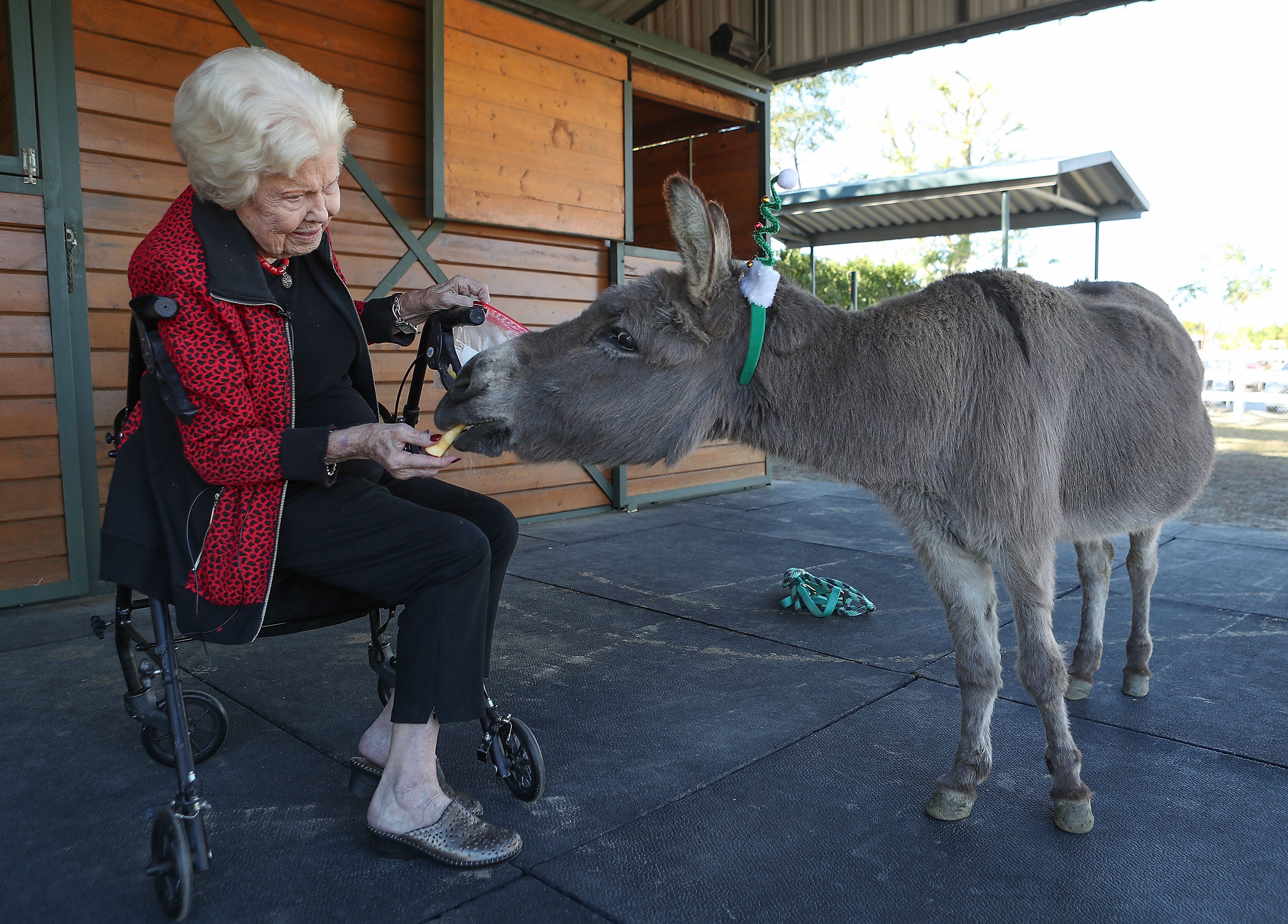 At 101 years old, Indian Wells woman enjoys 'slow lane' with her miniature  donkey