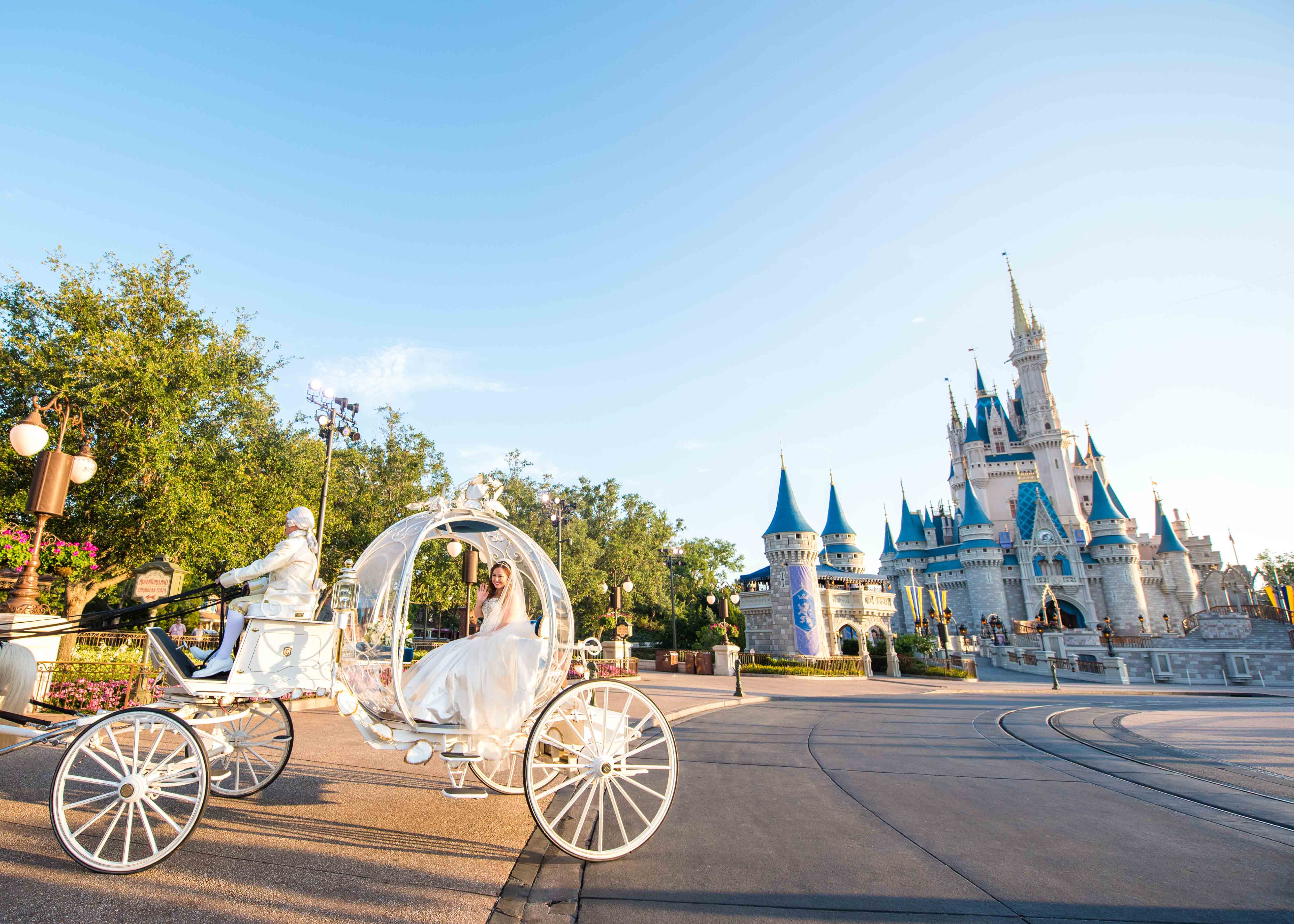 can you take a wagon into disney world