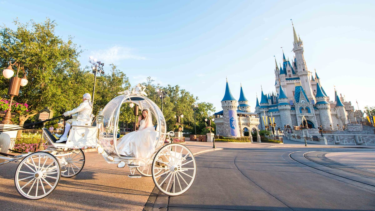 Those getting married at Walt Disney World can order a crystal coach right out of Cinderella.