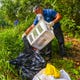 Glenn San Nicolas, Guam Environmental Protection Agency solid waste program manager, and other agency staff rummage through weeds and illegally disposed of rubbish along Chalan Ramirez in Yigo, looking for any clues or information they may have during an organized organization about its possible source Senator Joe San Agustin, on Wednesday, December 18, 2019. Service members of the 36th Squadron at Andersen Air Force Base, Yigo residents and other volunteers collected trash, old tires and other items that were illegally thrown away on the roadside and nearby were jungles.