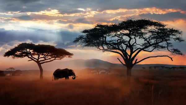 With plenty of opportunities to spend time in natu