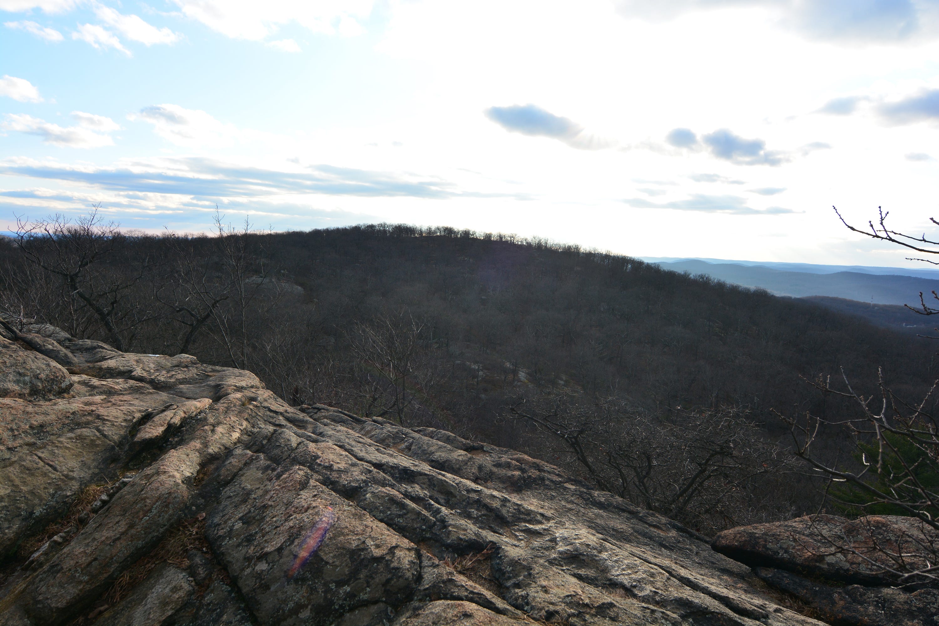 reeves brook loop trail map