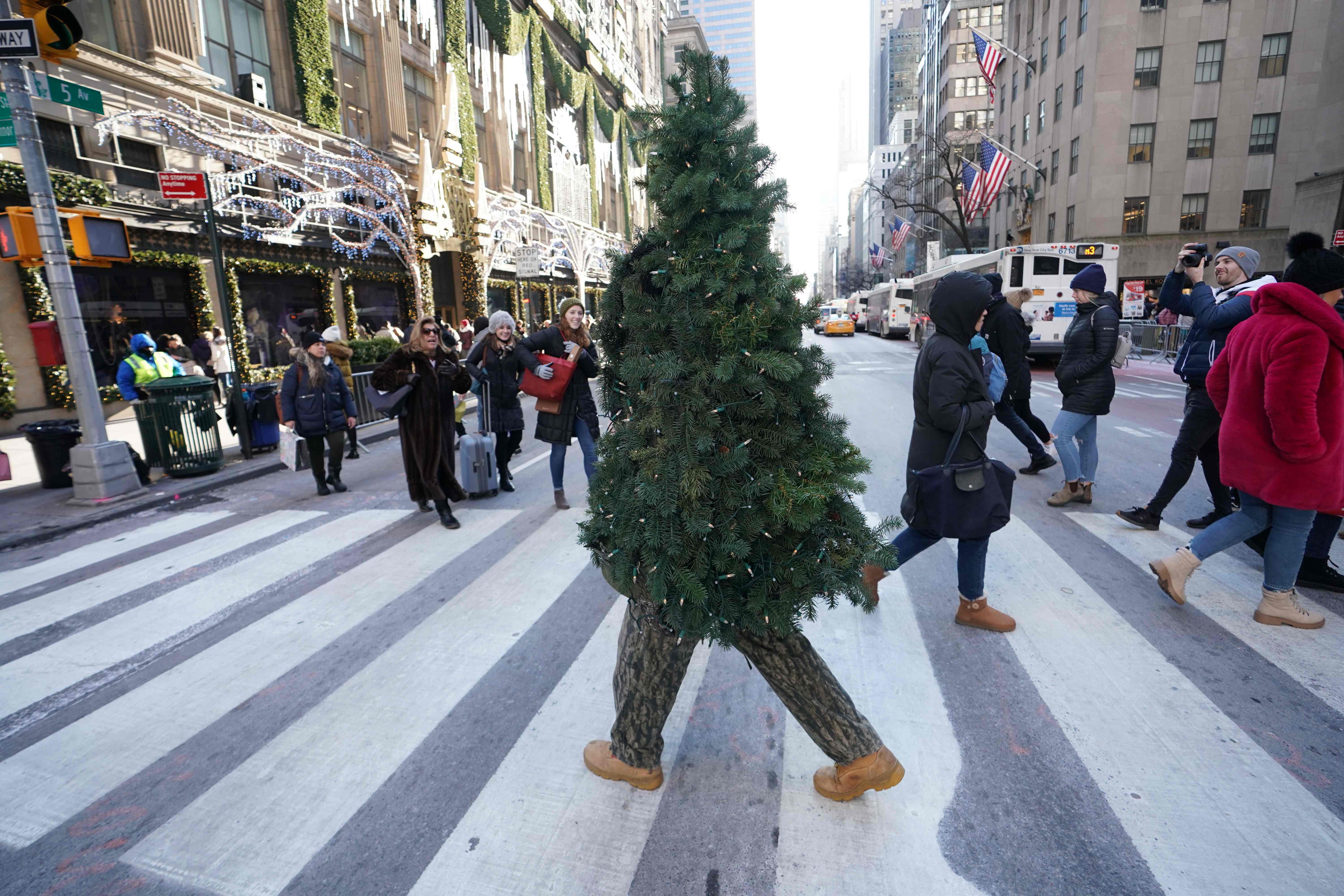 Christmas 2019 is over But what happens to the unsold holiday trees?