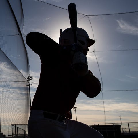South Carolina Dixie Youth Baseball League is susp