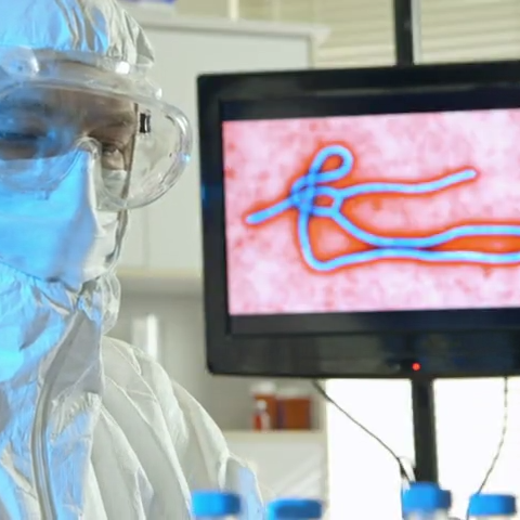 In a first, a vaccine that prevents Ebola has been
