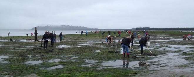 For just $10, Oregonians can play in the mud all year in 2020, with an order of clams as a side dish