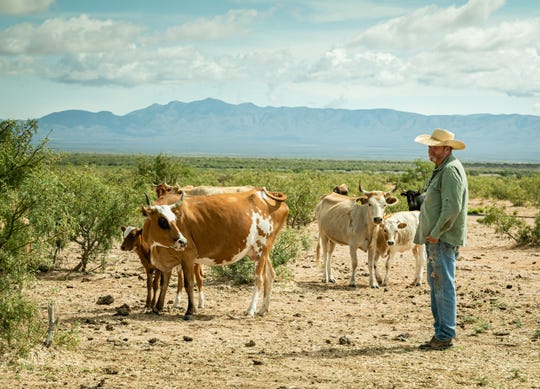 New Mexico State University’s College of Agricultural, Consumer and Environmental Sciences received an $8.9 million grant from the National Institute of Food and Agriculture to study ways to improve the sustainability of beef production in the Southwest.