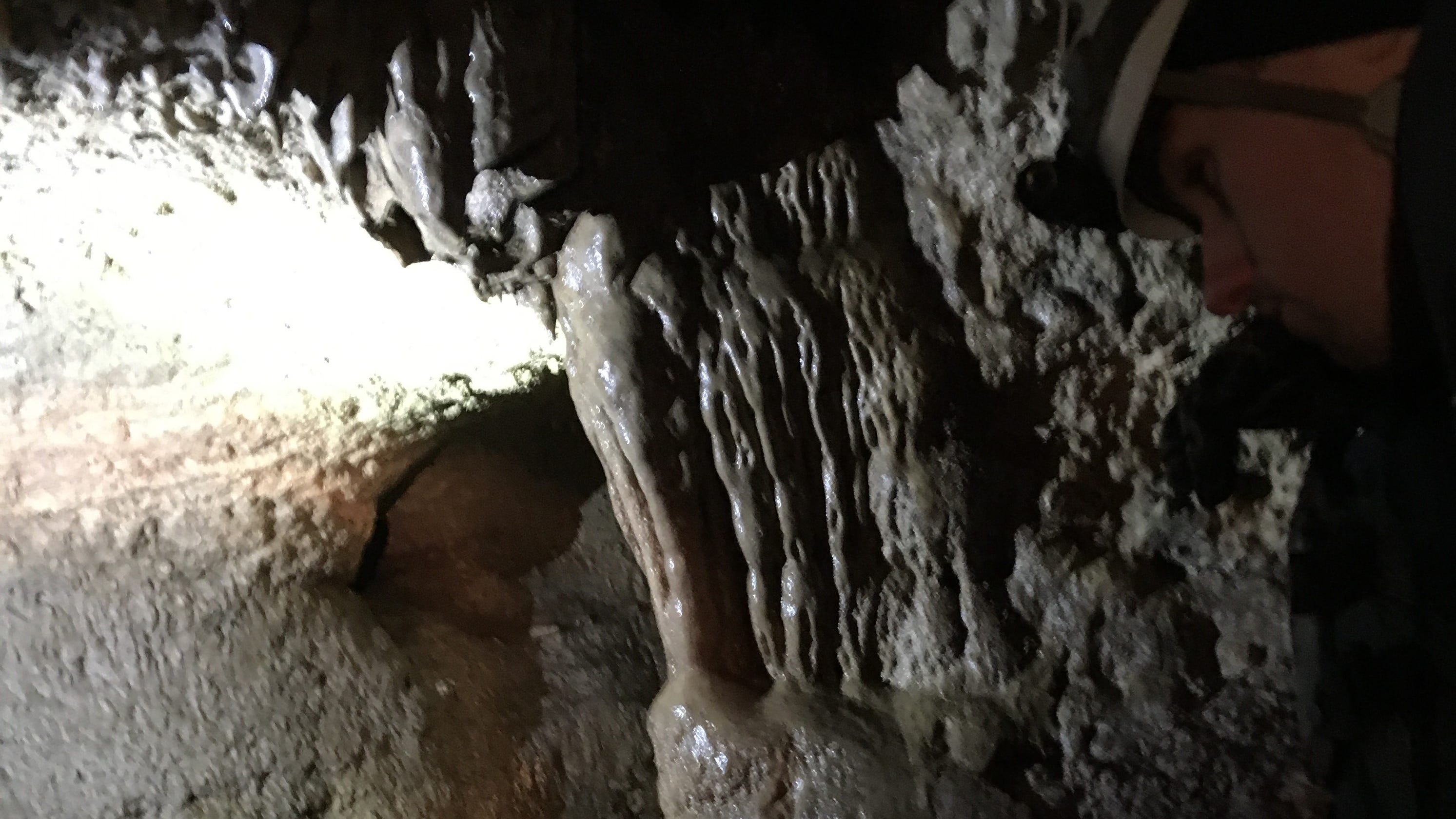 43 years later, rare Taney County 'maze cave' gets a closer look - News-Leader