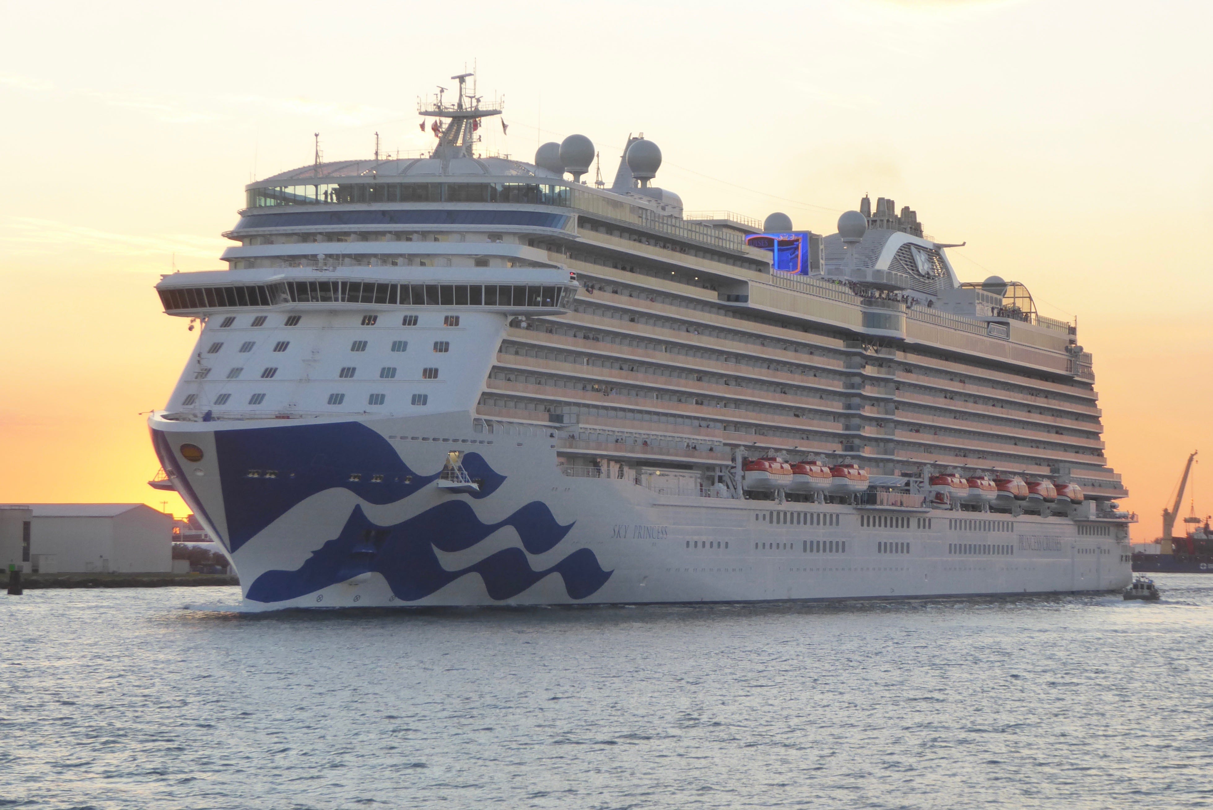 princess cruise largest ship