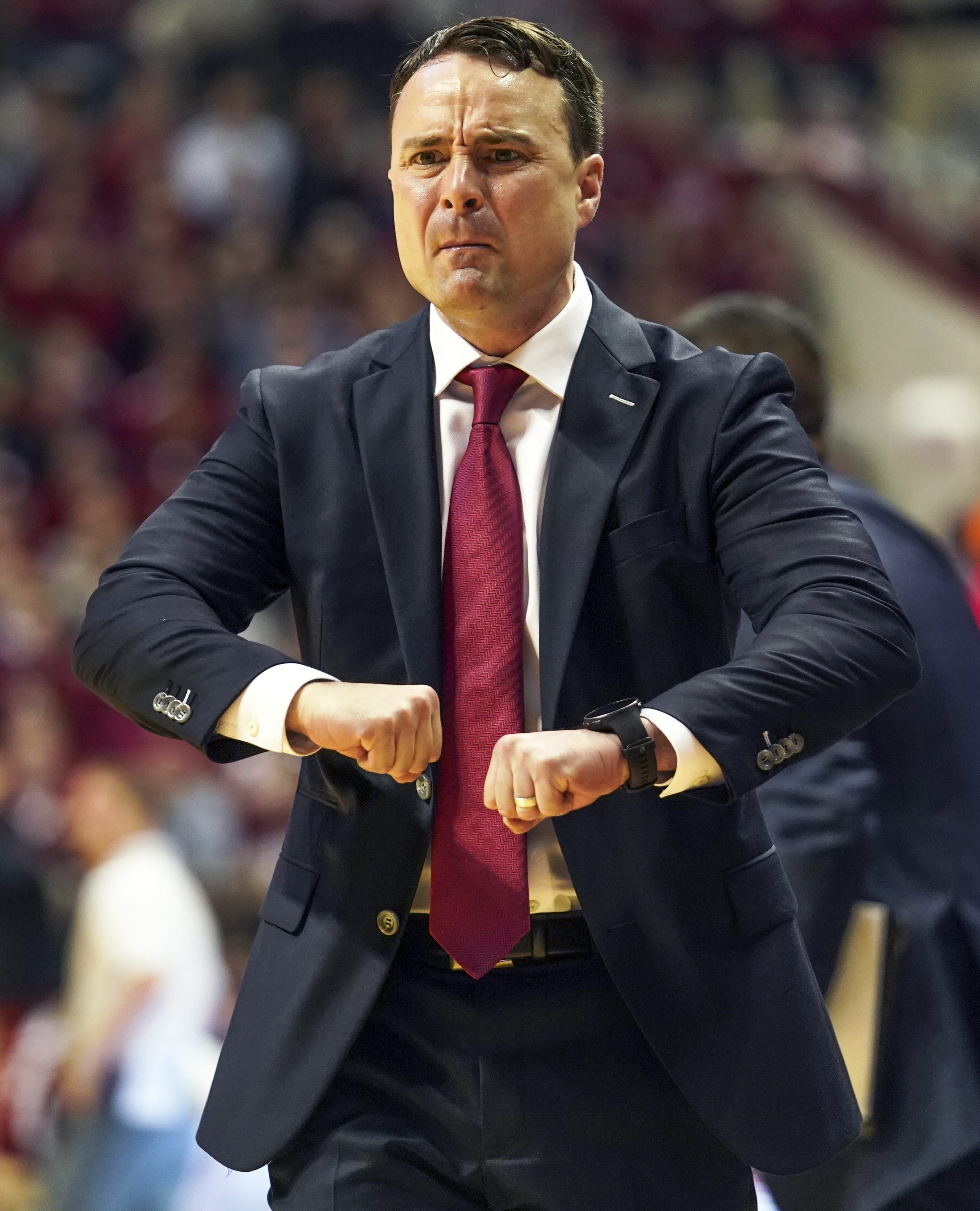arkansas razorback suit jacket