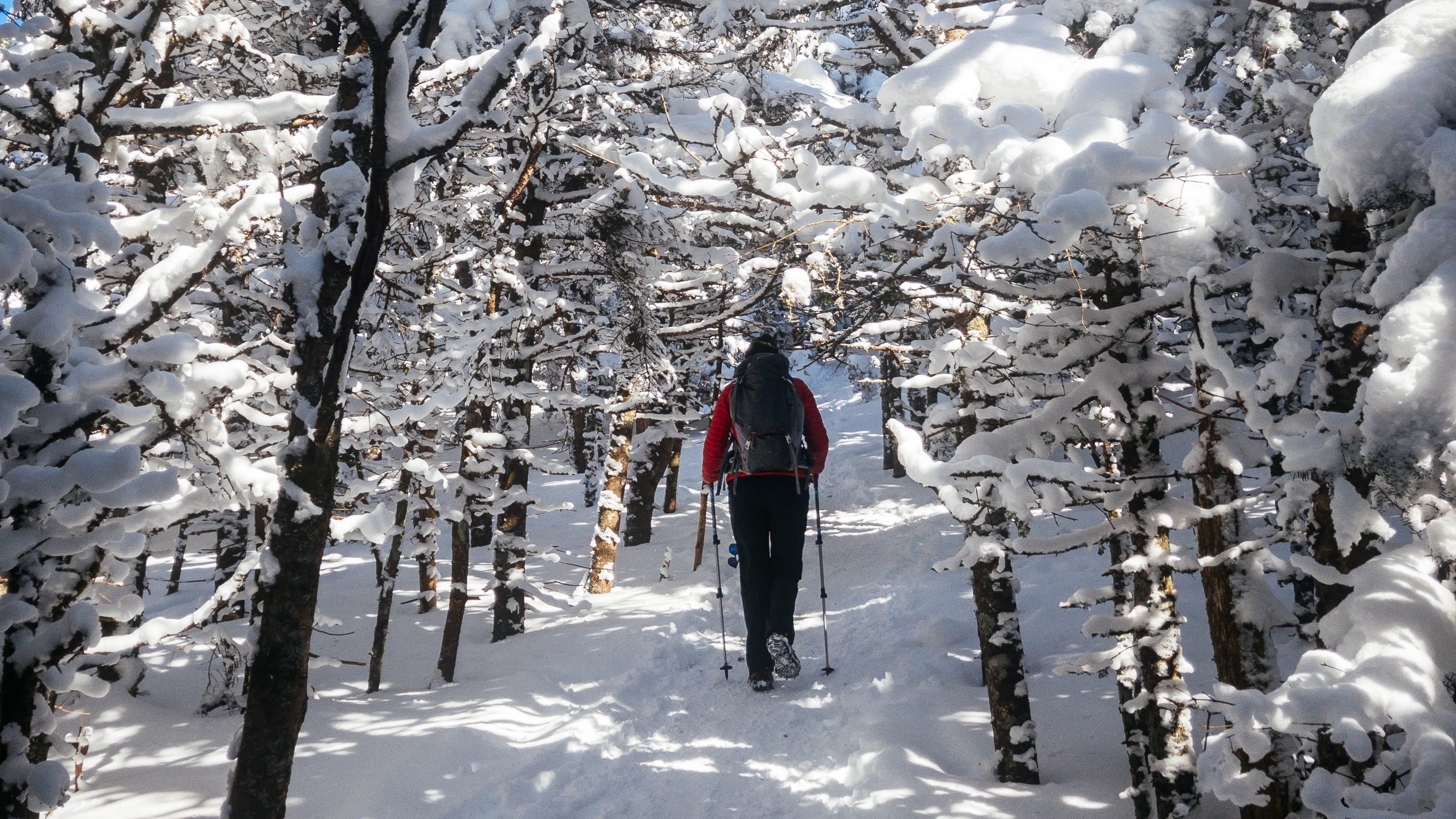 Spring Hiking And Coronavirus Hikers Rescued From Icy Sterling