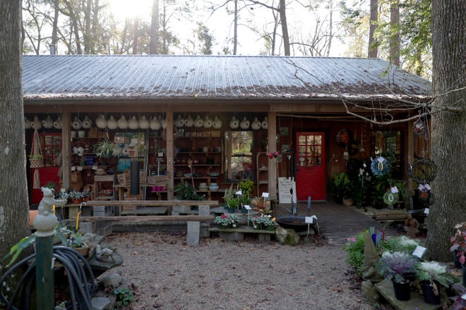 Native Nurseries, located on Centerville Road, has been in business for 40 years. Wildflowers, native trees, and herbs are among the variety of plants available for purchase. 