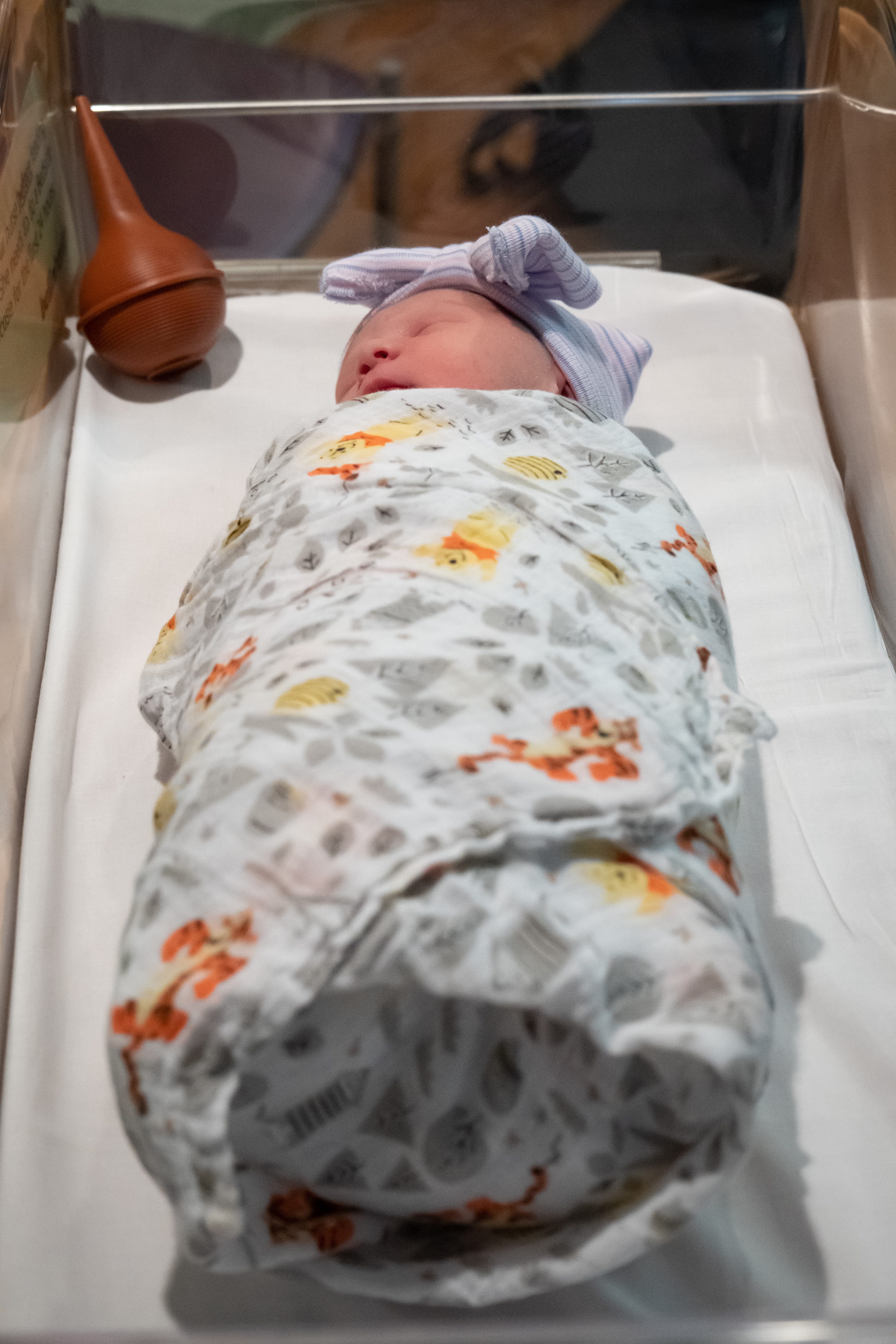 bellin hospital birth announcements