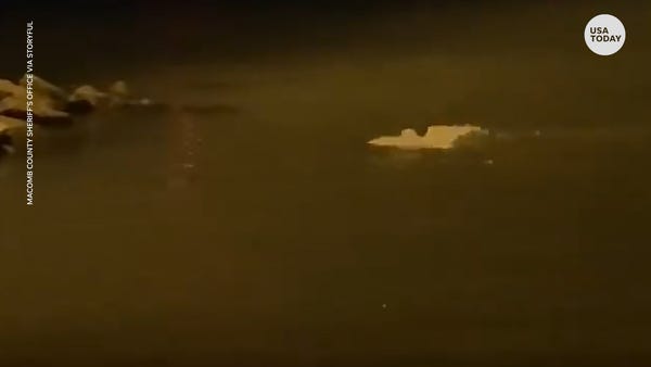 Snowy owl does 'breast stroke' as it swims through